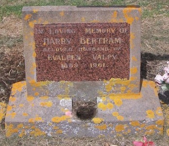 Picture of TARUHERU cemetery, block 27, plot 189.