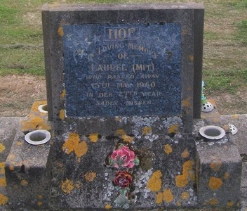 Picture of TARUHERU cemetery, block 27, plot 3.