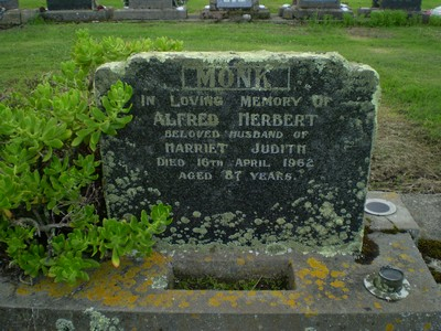 Picture of TARUHERU cemetery, block 27, plot 338.