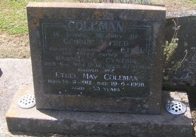 Picture of Taruheru cemetery, block 27, plot 413.