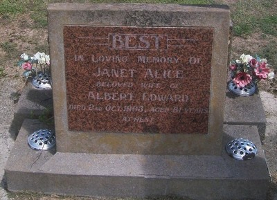 Picture of Taruheru cemetery, block 27, plot 517.