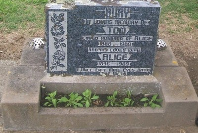 Picture of Taruheru cemetery, block 28, plot 156.