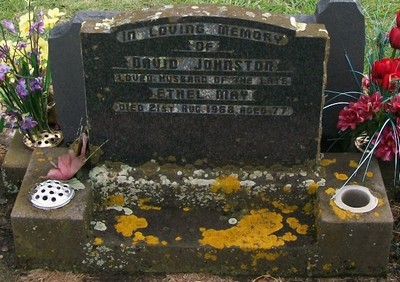 Picture of Taruheru cemetery, block 28, plot 251.