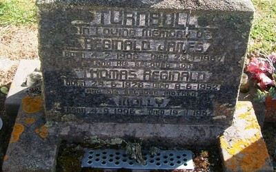 Picture of Taruheru cemetery, block 28, plot 28.