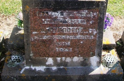 Picture of TARUHERU cemetery, block 28, plot 29.