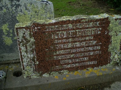 Picture of TARUHERU cemetery, block 28, plot 32.