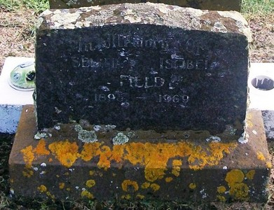 Picture of Taruheru cemetery, block 28, plot 336.