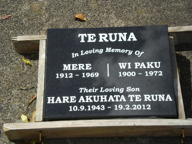 Picture of TARUHERU cemetery, block 28, plot 401.