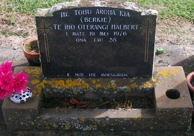 Picture of TARUHERU cemetery, block 28, plot 461.