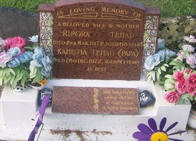 Picture of TARUHERU cemetery, block 29, plot 314.