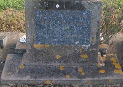 Picture of Taruheru cemetery, block 29, plot 335.