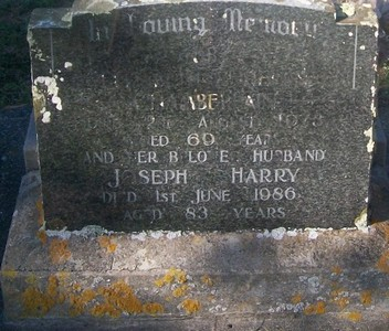 Picture of Taruheru cemetery, block 29, plot 514.