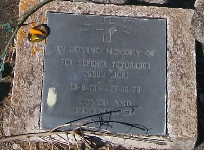 Picture of TARUHERU cemetery, block 29, plot 569A.