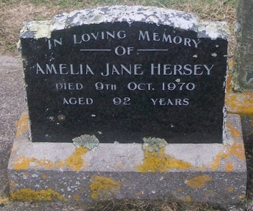 Picture of TARUHERU cemetery, block 29, plot 90.