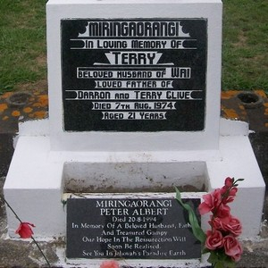 Picture of Taruheru cemetery, block 30, plot 111.