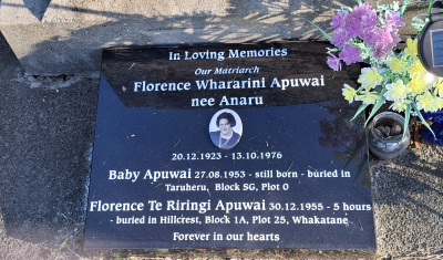 Picture of TARUHERU cemetery, block 30, plot 231.