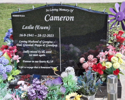 Picture of TARUHERU cemetery, block 31, plot 23.