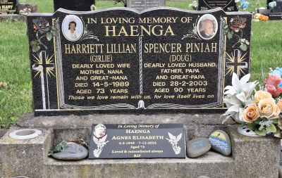 Picture of TARUHERU cemetery, block 36, plot 296.