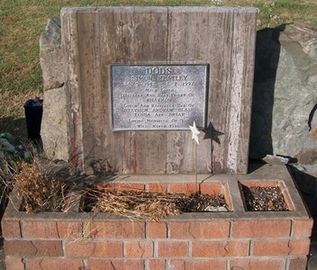 Picture of TARUHERU cemetery, block 37, plot 178.