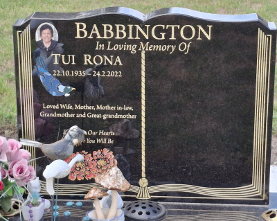 Picture of Taruheru cemetery, block 38, plot 214.