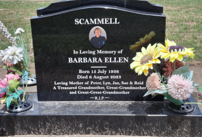 Picture of TARUHERU cemetery, block 38, plot 350.