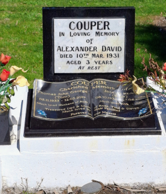 Picture of TARUHERU cemetery, block 3, plot 52.