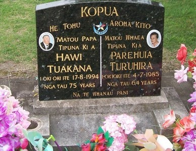 Picture of Taruheru cemetery, block 40, plot 405.