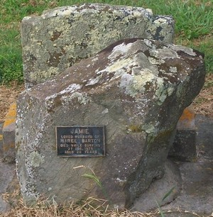 Picture of Taruheru cemetery, block 40, plot 50.