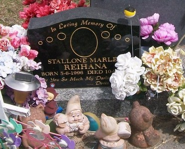 Picture of Taruheru cemetery, block 40, plot 540A.