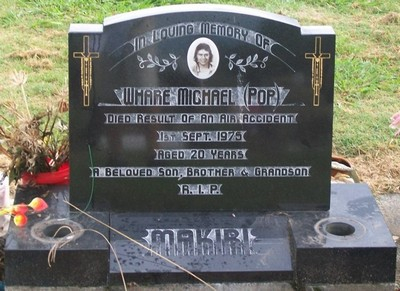 Picture of Taruheru cemetery, block 40, plot 71.