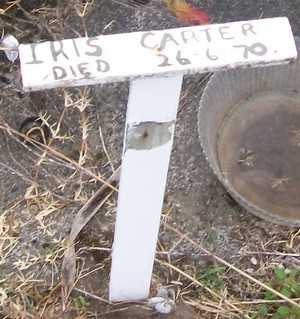 Picture of Taruheru cemetery, block 40, plot 78.