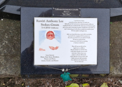 Picture of TARUHERU cemetery, block 41, plot 229.