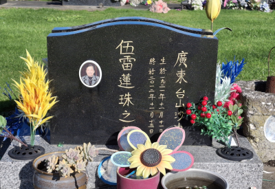 Picture of TARUHERU cemetery, block 41, plot 379.