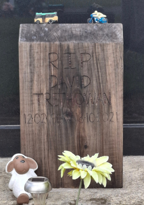 Picture of TARUHERU cemetery, block 42, plot 313.