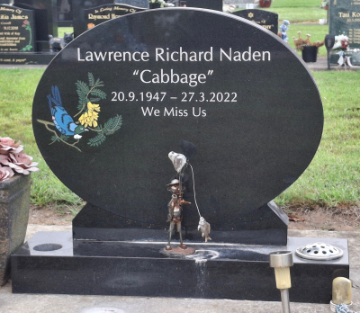 Picture of TARUHERU cemetery, block 42, plot 343.