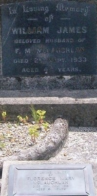 Picture of TARUHERU cemetery, block 6, plot 113.