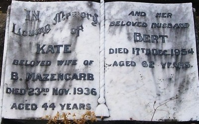 Picture of Taruheru cemetery, block 7, plot 110.