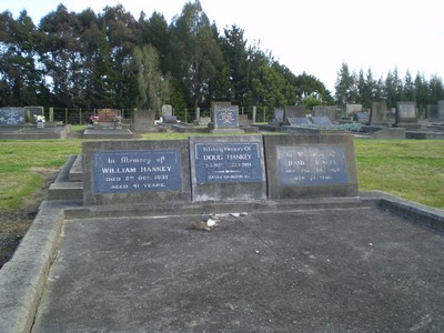 Picture of TARUHERU cemetery, block 7, plot 133.