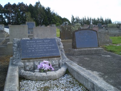 Picture of Taruheru cemetery, block 7, plot 41.