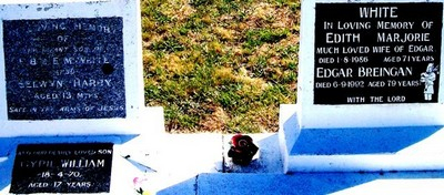 Picture of Taruheru cemetery, block 8, plot 111.