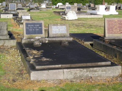 Picture of TARUHERU cemetery, block 8, plot 37.