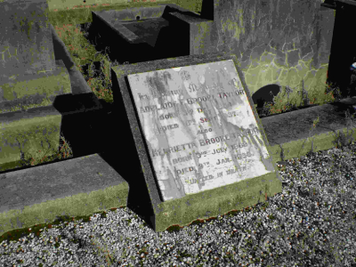 Picture of TARUHERU cemetery, block 9, plot 57.