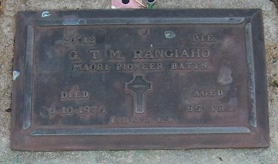 Picture of TARUHERU cemetery, block RSA, plot 764.
