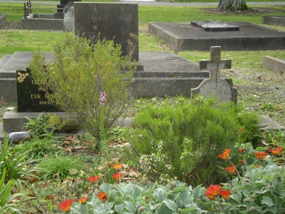 Picture of Taruheru cemetery, block SEC1, plot 110.