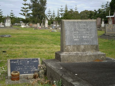 Picture of Taruheru cemetery, block SEC1, plot 229A.