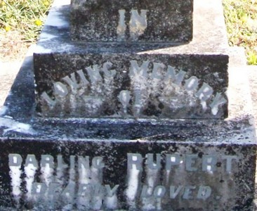 Picture of Taruheru cemetery, block SEC1, plot 242.