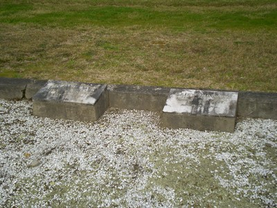 Picture of Taruheru cemetery, block SEC1, plot 271.