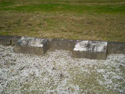 Picture of TARUHERU cemetery, block SEC1, plot 271.