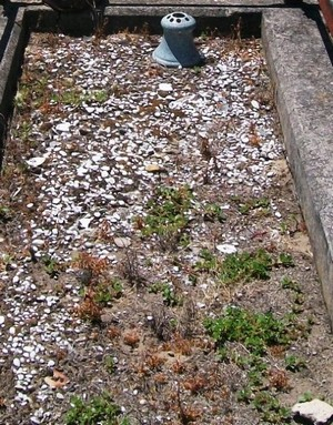 Picture of Taruheru cemetery, block SEC1, plot 319.