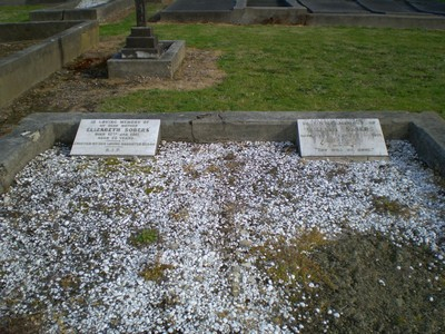 Picture of Taruheru cemetery, block SEC1, plot 345.